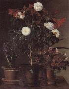 Jensen Johan Gardenia and Amaryllis Sweden oil painting reproduction